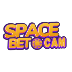 sudoku variants and types
